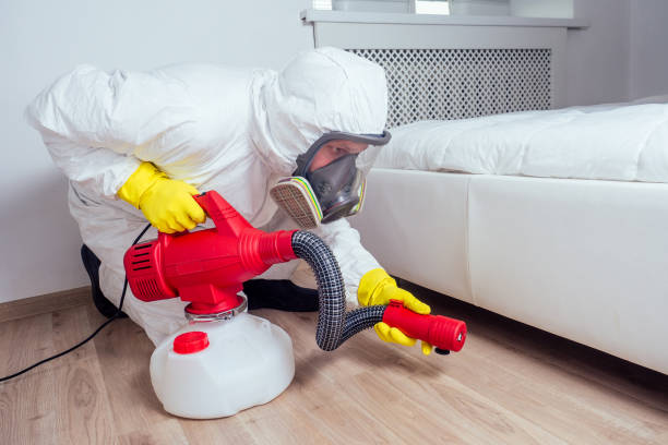 Best Cockroach Control Services  in Rio Hondo, TX