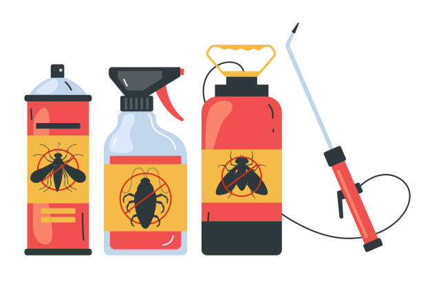 Best Insect Control  in Rio Hondo, TX