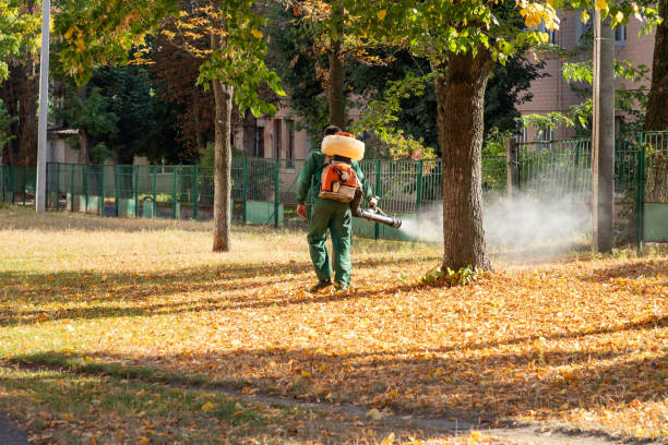 Best Best Pest Control Companies  in Rio Hondo, TX